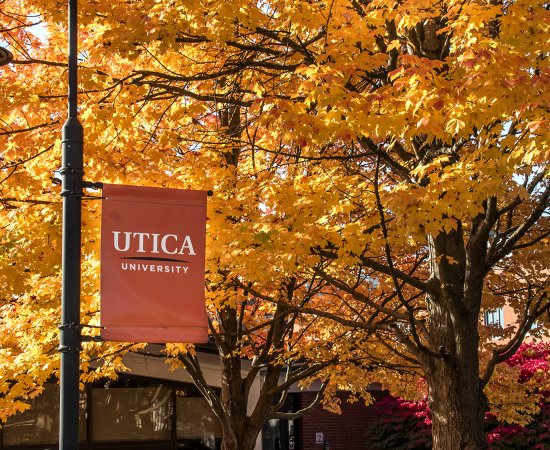 Utica University