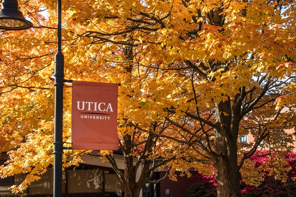 Utica University